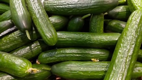 Cucumbers From The Garden Slider Shot