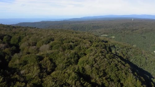 Aspromonte Mountain