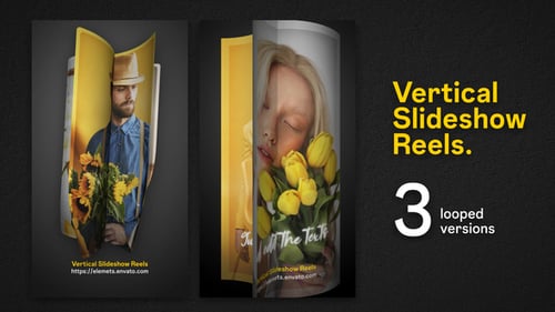 Vertical Slideshow Reels