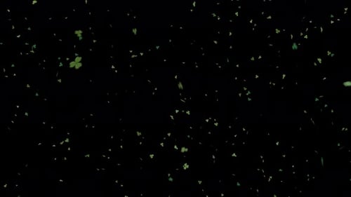 Falling Green Shamrocks Transparent Overlay