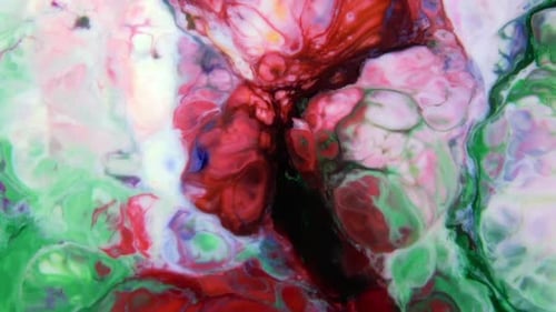 Abstract Colorful Fluid Design with Red, Pink, Green