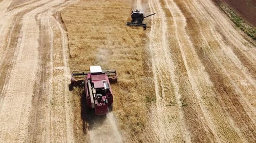 Harvester se rassemble