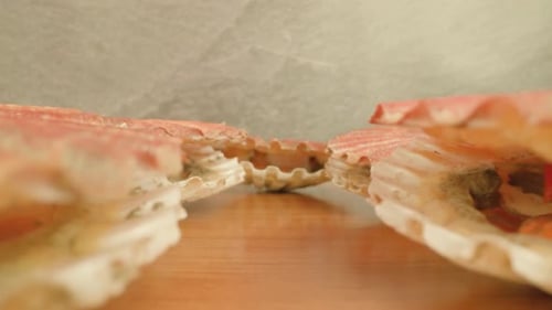 Scarletcolored Mollusks Open Thin Shells Lying on Table