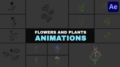 Flowers and Plants Animations | After Effects