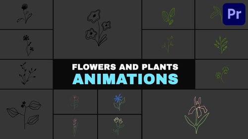 Flowers and Plants Animations | Premiere Pro MOGRT