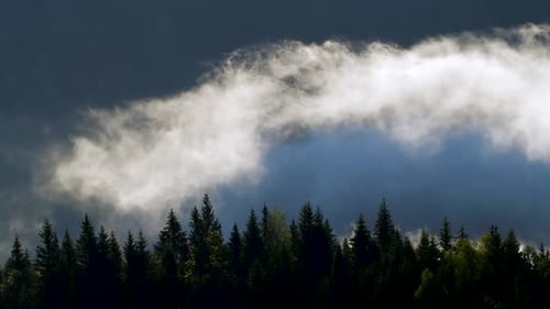 Clouds and Mist in Mountain, High Peaks with Forest, Wonderful Morning Sunrise Natural Landscape