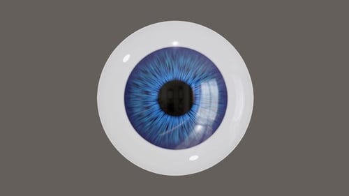 Realistic 3D Human Eyeball Rotating with Iris Movement