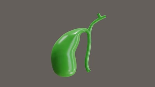 3D Animation of Human Gallbladder Rotating for Medical Education