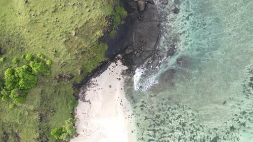 Tropical Beach