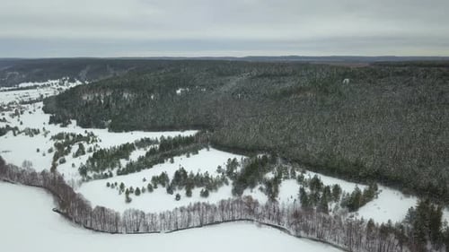 Winter Forest And River