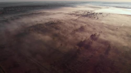 Epic aerial view of sunrise fog covering field with trees.