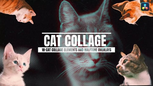 18-Cat Collage Elements And Halftone Overlays For DaVinci Resolve