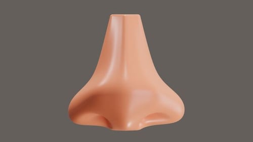 3D Animated Human Nose Breathing Cycle Loop