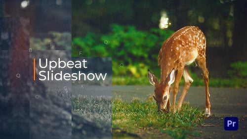 Upbeat Slideshow