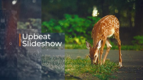 Upbeat Slideshow