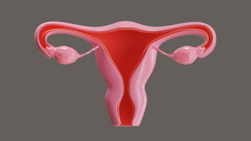 3D Animation of Ovarium organ reproduksi wanita
