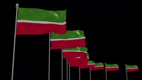 Seamless Loop of Waving Flags