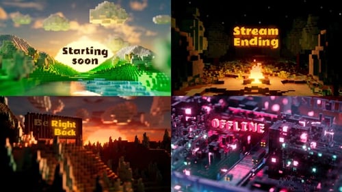 Stream et Logo VoxelVerse