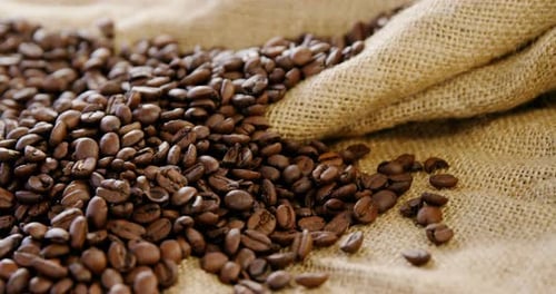 Roasted Coffee Beans Spilling From Burlap Sack