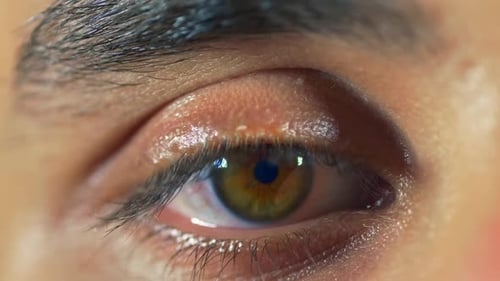 Extreme Close Up of a Human Eye