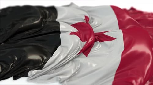 Dynamic Realistic Waving Flag Animation