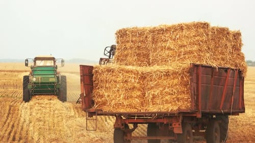 Arbeitskonzept Landwirtschaft