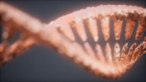 DNA Molecule on the Grey Background