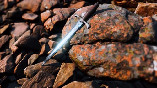 Old Dagger on the Rock at Sunset
