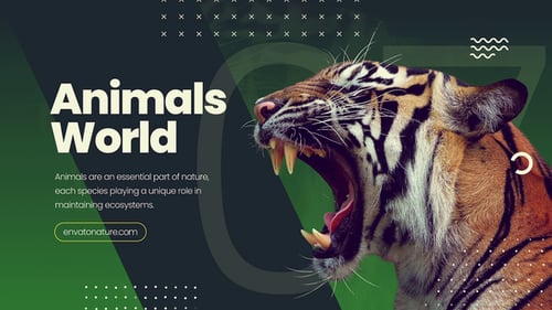 Nature Promo Slideshow