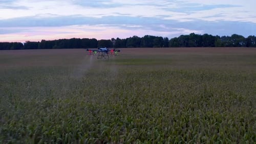 Pesticidas en el campo: maíz fabricado por Agro Copter