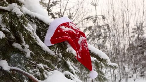 Festive Santa Hat on Snowy Pine Branch