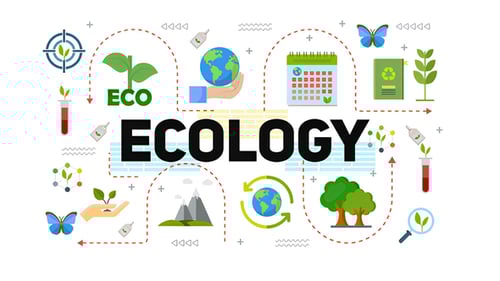 Ecology and Energy Typography Scenes