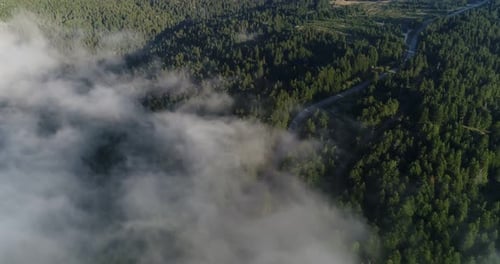 Forest And Over The Clouds Aerial View 9