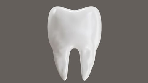 3D Animation of Hard tooth structure
