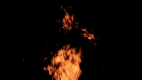 Blazing Flames Dancing Against Black Backdrop