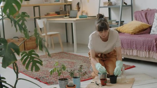 Young Woman Gardening with Houseplants Indoors