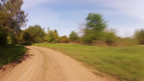 Motor Racing in the Spring Forest