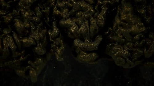 Abstract Black and Gold Ink Swirling in Water