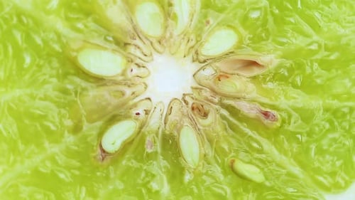 close up bergamot