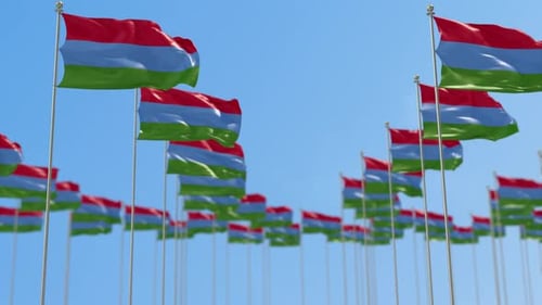 Waving Corporate Flags on Flagpoles Against Blue Sky