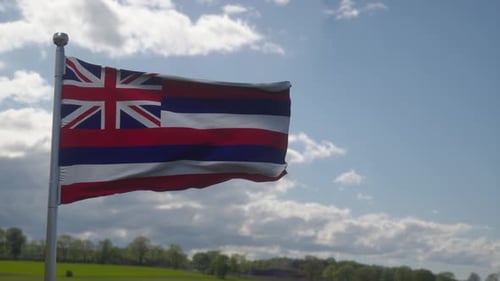 Realistic Waving Flag of Hawaii on a Sunny Day