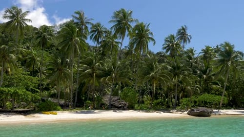 White sandy beach with coconut palm trees. Koh Kood, Thailand.