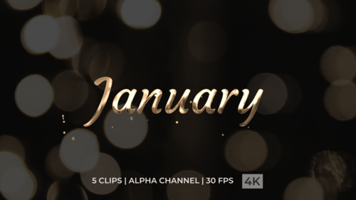 Animation de texte de janvier