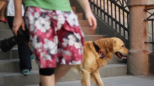 People Walking Up and Down Exterior Staircase