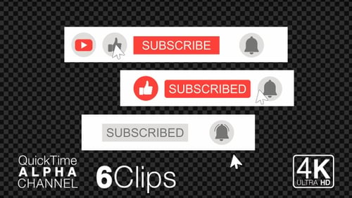 Youtube Subscriber Pack