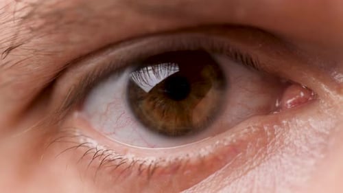 Die braunen Augen des Mannes schauen in die Kamera. Blinzelndes männliches Auge. Konzentrierter Mann, der auf etwas blickt. Makro