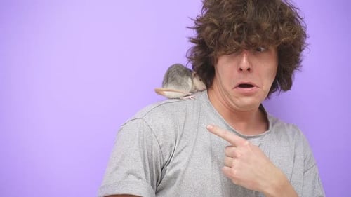 Closeup of a Frightened Young Man with a Pet Rat on an Isolated Purple Studio Background