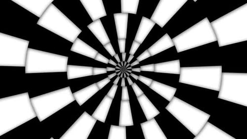 Black And White Psychedelic Optical Illusion