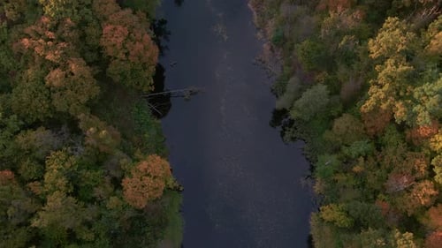 Aerial View of River Through Colorful Autumn Forest