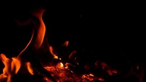 Campfire Flames Flickering Against Dark Backdrop